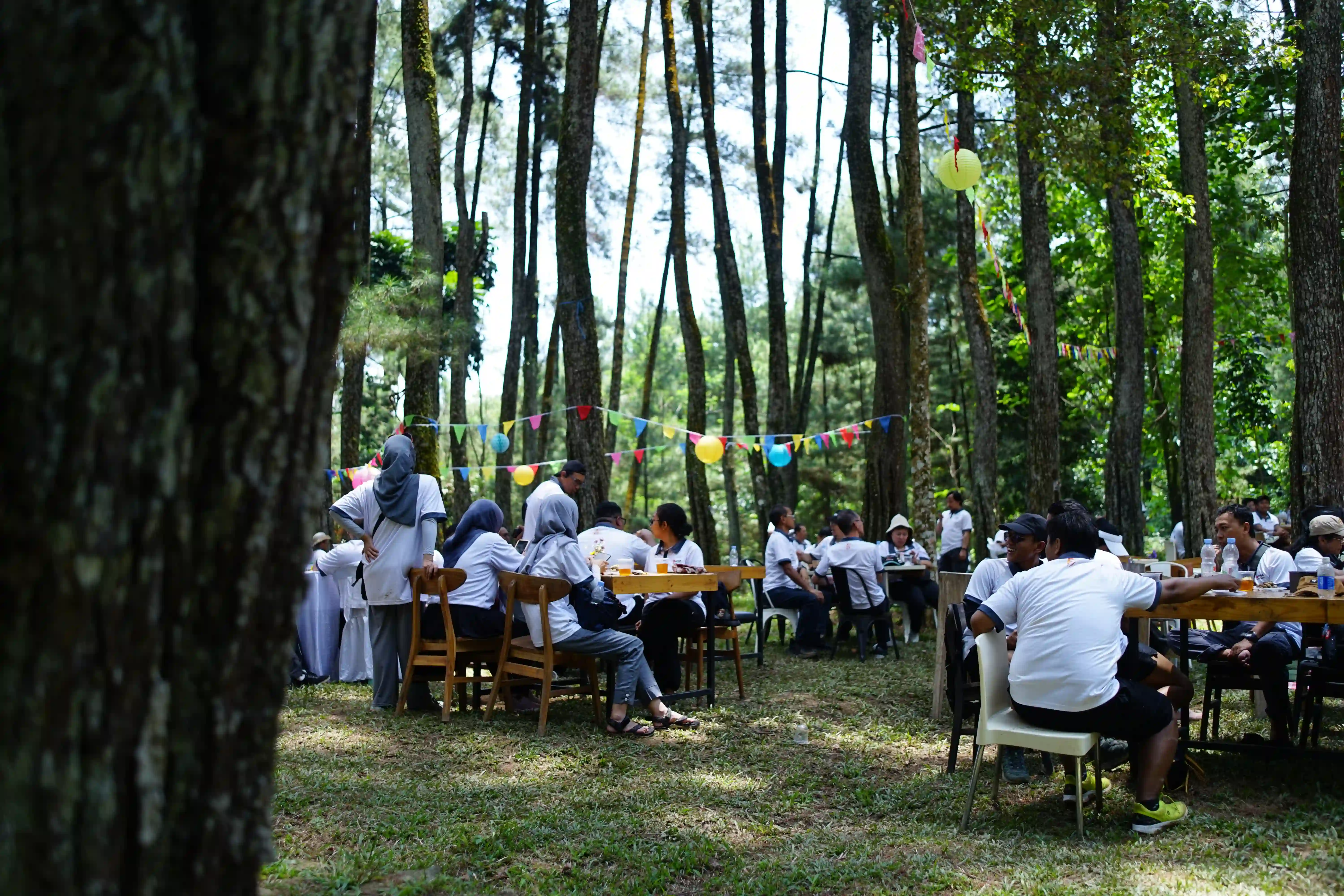 Suasana santai peserta saat beristirahat dan makan bersama di bawah rindangnya hutan pinus.